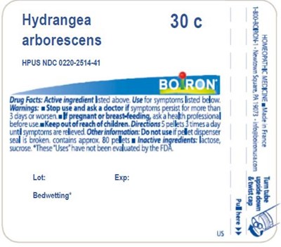 Label (Hydrangea Arb C)